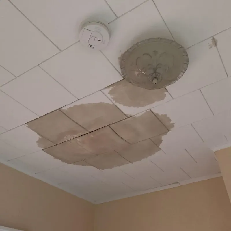 Ceiling Water Damage Repair in Ingalls Park, IL