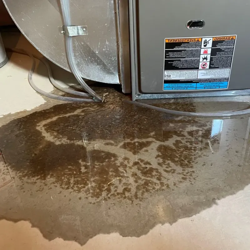 Pipe Burst and Leak Restoration in Ingalls Park, IL