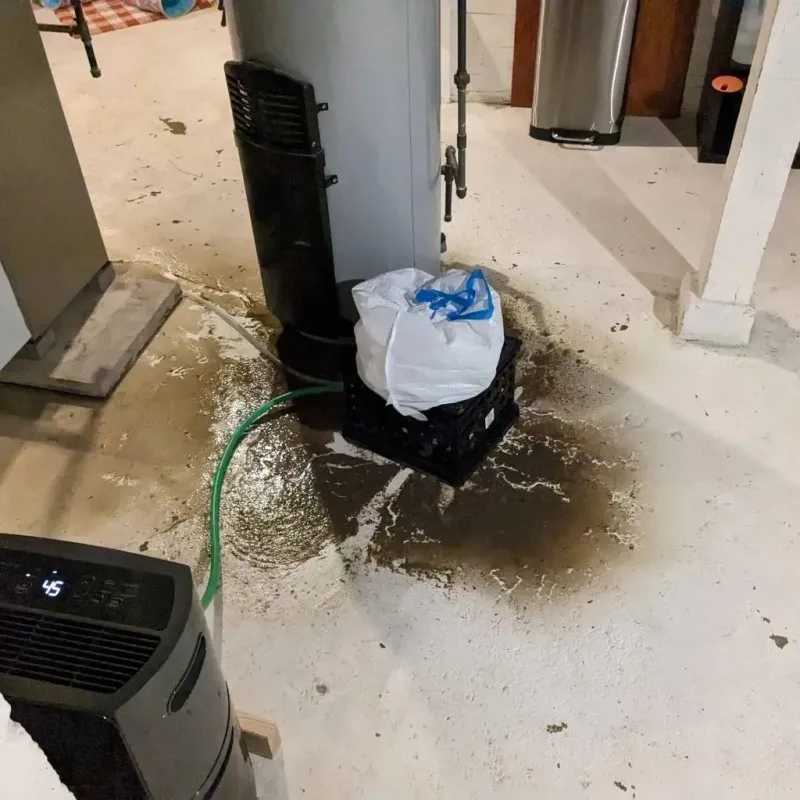 Sewage Backup Cleanup Service in Ingalls Park, IL